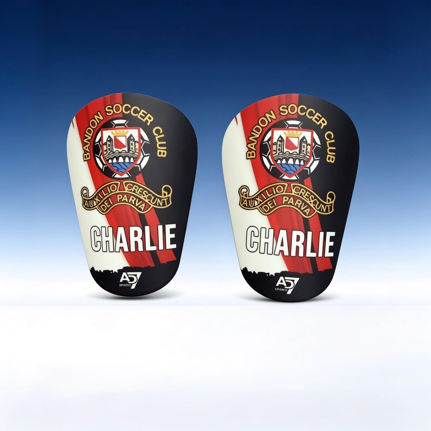 Mini Shin Pads